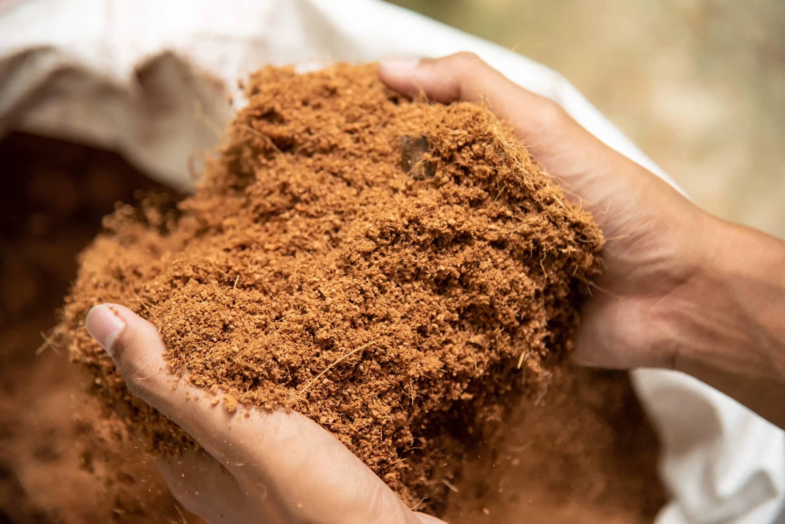 Hands holding coco coir growing media for hydroponics in Tavares, Florida