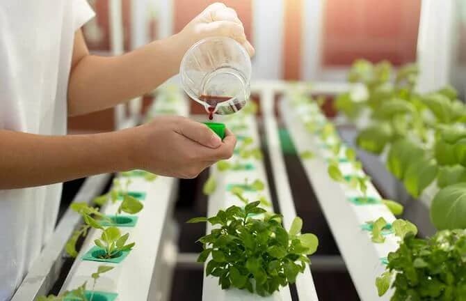Hydroponic nutrients and supplements on display