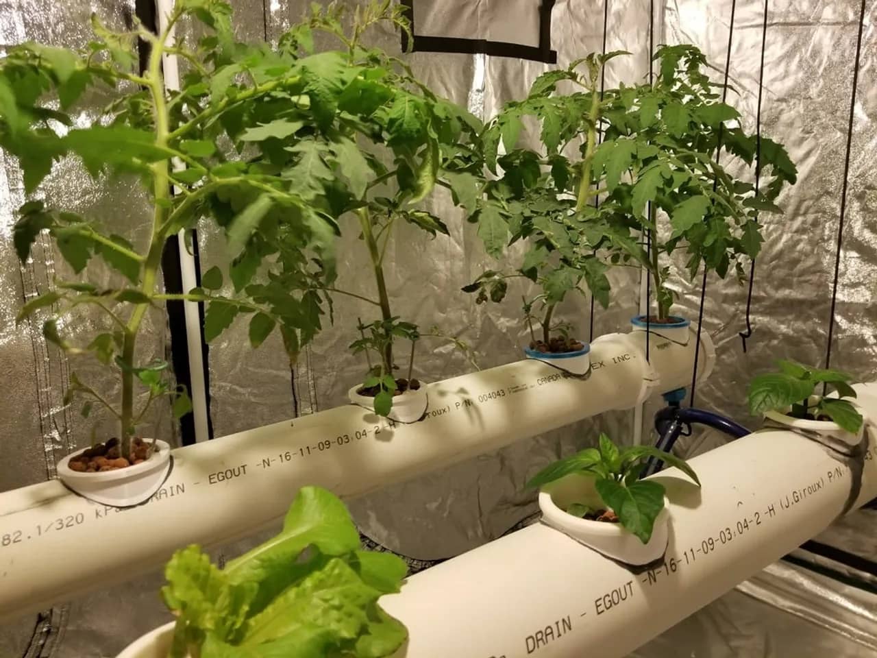 Tools and Accessories inventory at Happy Planet Hydroponics